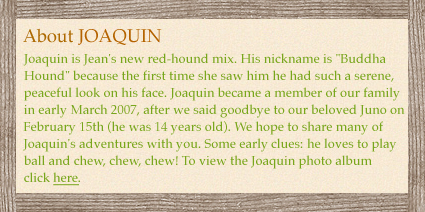Joaquin is Jean